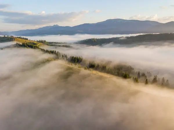 Matin Ensoleillé Dans Brouillard Des Carpates Une Épaisse Couche Brouillard — Photo