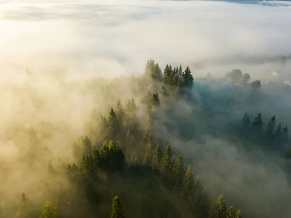 Foggy Sommar Morgon Ukrainska Karpaterna Flygdrönare Stockfoto