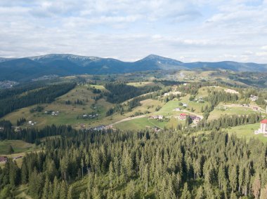 Yazın Ukrayna Karpatları 'nın yeşil dağları. Yamaçlarda kozalaklı ağaçlar. Hava aracı görünümü.