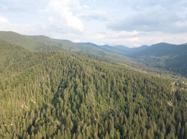 Yazın Ukrayna Karpatları 'nın yeşil dağları. Yamaçlarda kozalaklı ağaçlar. Hava aracı görünümü.