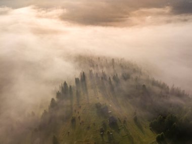 Ukrayna Karpatya dağlarında sabah sisi. Hava aracı görünümü.