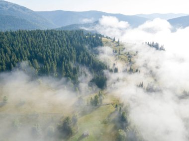 Ukrayna Karpatları 'nda sabah sisi. Hava aracı görünümü.