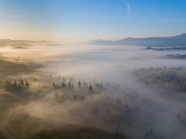 Ukrayna Karpatları 'nda sabah sisi. Hava aracı görünümü.
