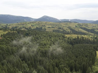 Yazın Ukrayna Karpatları 'nın yeşil dağları. Hava aracı görünümü.