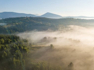 Sabah sisinde Ukrayna Karpatları 'nın yeşil dağları. Hava aracı görünümü.
