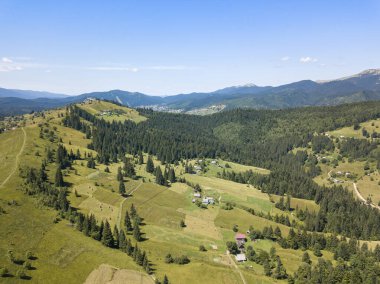 Yazın Ukrayna Karpatları 'nın yeşil dağları. Güneşli açık bir gün. Hava aracı görünümü.