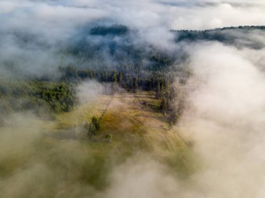 Ukrayna Karpatları 'nda sisli bir yaz sabahı. Hava aracı görünümü.