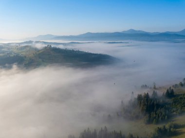 Ukrayna Karpatları 'nda sabah sisi. Hava aracı görünümü.