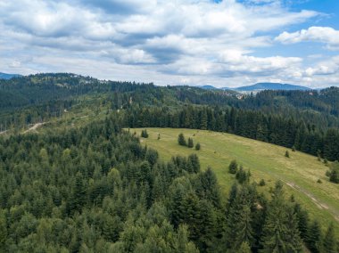 Yazın Ukrayna Karpatları 'nın yeşil dağları. Yamaçlarda kozalaklı ağaçlar. Hava aracı görünümü.