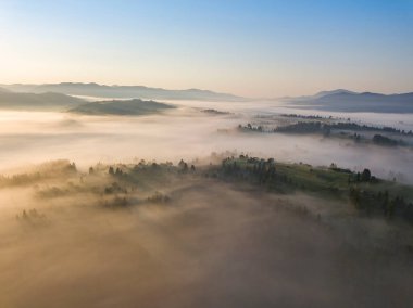 Ukrayna Karpatları 'nda sabah sisi. Hava aracı görünümü.