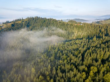 Sabah sisinde Ukrayna Karpatları 'nın yeşil dağları. Hava aracı görünümü.