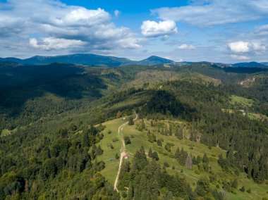 Yazın Ukrayna Karpatları 'nın yeşil dağları. Yamaçlarda kozalaklı ağaçlar. Hava aracı görünümü.