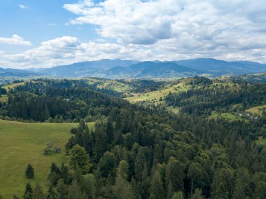 Yazın Ukrayna Karpatları 'nın yeşil dağları. Yamaçlarda kozalaklı ağaçlar. Hava aracı görünümü.