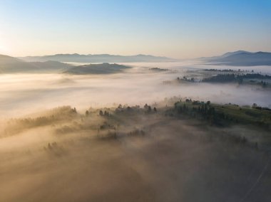 Ukrayna Karpatları 'nda sabah sisi. Hava aracı görünümü.