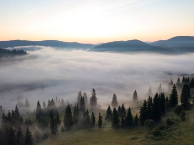 Ukrayna Karpatları 'nda sisin üstünde gün doğumu. Hava aracı görünümü.