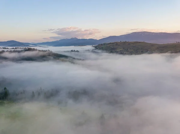 Nebbia Mattutina Nei Carpazi Ucraini Vista Aerea Drone — Foto Stock