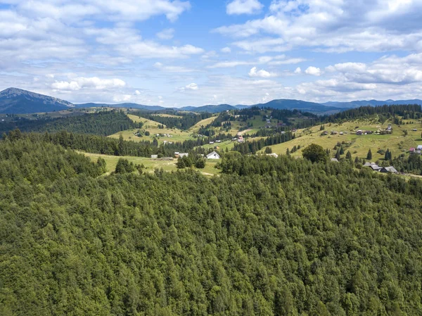 Grüne Berge Der Ukrainischen Karpaten Sommer Nadelbäume Den Hängen Drohnenblick — Stockfoto