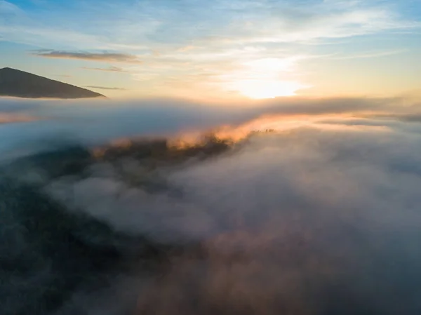 Foggy Matin Été Dans Les Carpates Ukrainiennes Vue Aérienne Drone — Photo