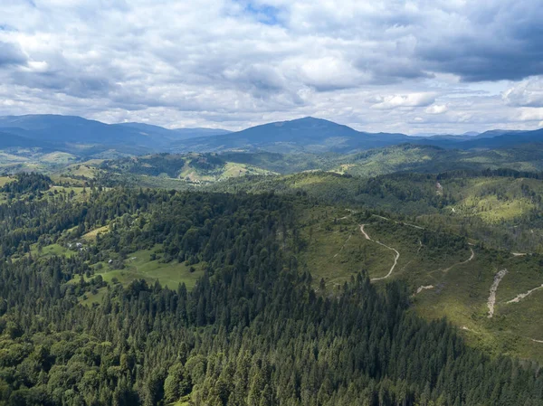 夏にウクライナのカルパティアの緑の山々 斜面に針葉樹の木 空中ドローンビュー — ストック写真