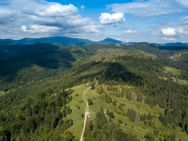 Montagne Verdi Carpazi Ucraini Estate Alberi Conifere Sulle Pendici Vista — Foto Stock