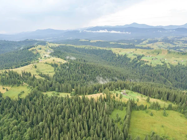 Yazın Ukrayna Karpatları 'nın yeşil dağları. Hava aracı görünümü.