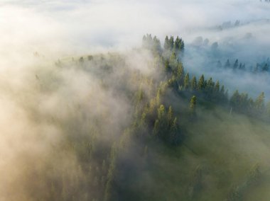 Ukrayna Karpatları 'nda sisli bir yaz sabahı. Hava aracı görünümü.