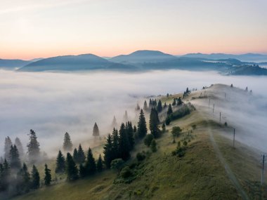 Ukrayna Karpatları 'nda sabah sisi. Hava aracı görünümü.