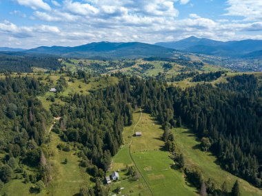 Yazın Ukrayna Karpatları 'nın yeşil dağları. Yamaçlarda kozalaklı ağaçlar. Hava aracı görünümü.