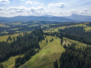 Yazın Ukrayna Karpatları 'nın yeşil dağları. Güneşli bir gün, nadir bulutlar. Hava aracı görünümü.