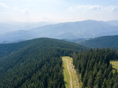 Yazın Ukrayna Karpatları 'nın yeşil dağları. Güneşli bir gün, nadir bulutlar. Hava aracı görünümü.