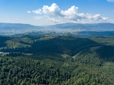 Yazın Ukrayna Karpatları 'nın yeşil dağları. Güneşli bir gün. Hava aracı görünümü.