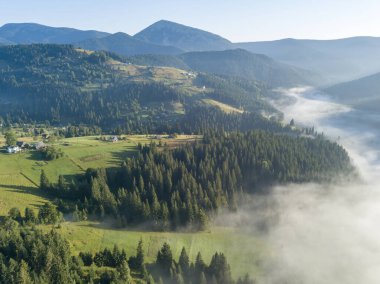 Sabah sisinde Ukrayna Karpatları 'nın yeşil dağları. Hava aracı görünümü.