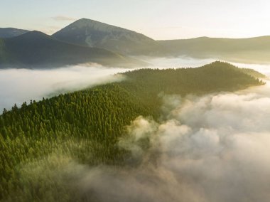 Sis dağ ormanını kaplıyor. Güneşin yükselen ışınları sisi delip geçer. Hava aracı görünümü.