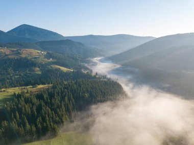 Sabah sisinde Ukrayna Karpatları 'nın yeşil dağları. Hava aracı görünümü.