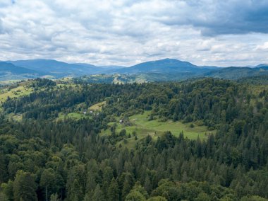 Yazın Ukrayna Karpatları 'nın yeşil dağları. Yamaçlarda kozalaklı ağaçlar. Hava aracı görünümü.