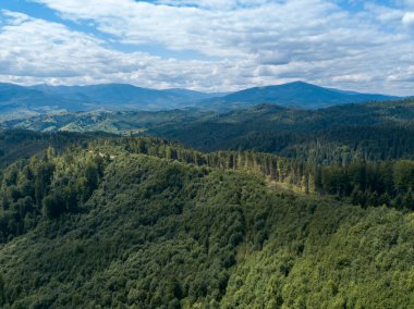Yazın Ukrayna Karpatları 'nın yeşil dağları. Yamaçlarda kozalaklı ağaçlar. Hava aracı görünümü.