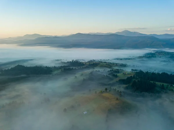 在晨雾中 乌克兰喀尔巴阡山脉的青山 空中无人驾驶飞机视图 — 图库照片