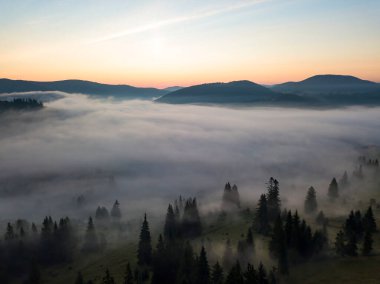 Ukrayna Karpatları 'nda sabah sisi. Hava aracı görünümü.