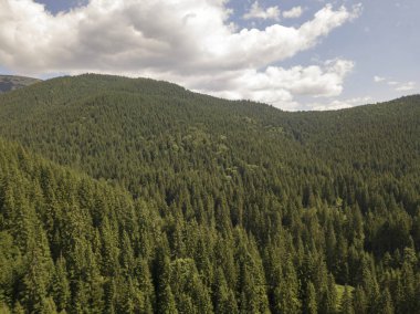 Yazın Ukrayna Karpatları 'nın yeşil dağları. Güneşli bir gün, nadir bulutlar. Hava aracı görünümü.