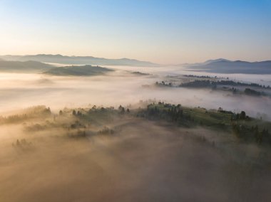 Ukrayna Karpatları 'nda sabah sisi. Hava aracı görünümü.