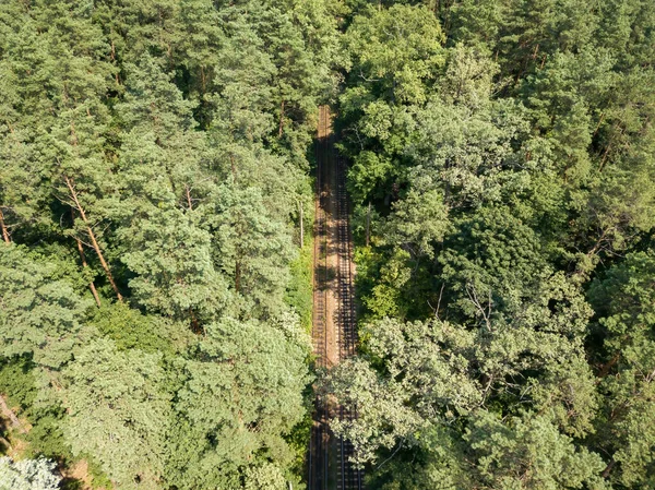 Piste Tramway Milieu Forêt Vue Aérienne Drone — Photo