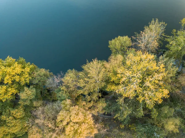 Árboles Otoño Orilla Vista Aérea Del Dron — Foto de Stock