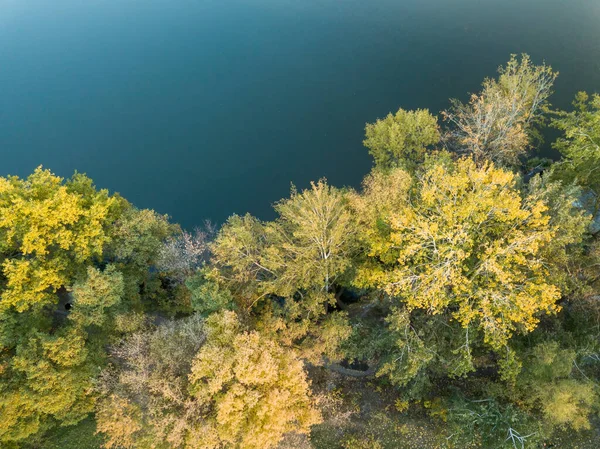 강변의 나무들 무인기 — 스톡 사진