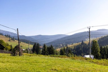 Yüksek Karpatlar 'da yeşil dağ çayırları