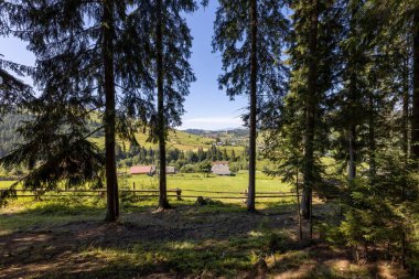 Dağlık Karpatlar 'da bir yerleşim yerindeki binalar.