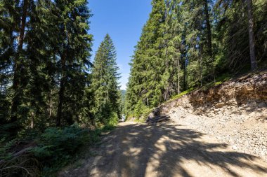 Bir yaz günü Ukrayna Karpatları 'nda toprak dağ yolu.