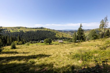 Bir yaz günü Ukrayna Karpatları 'nda dağ panoraması.