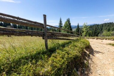 Bir yaz günü Ukrayna Karpatları 'nda toprak dağ yolu.