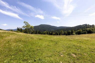 Yazın Ukrayna Karpatları 'nda dağ manzarası.