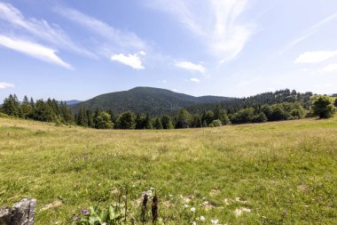 Yazın Ukrayna Karpatları 'nda dağ manzarası.